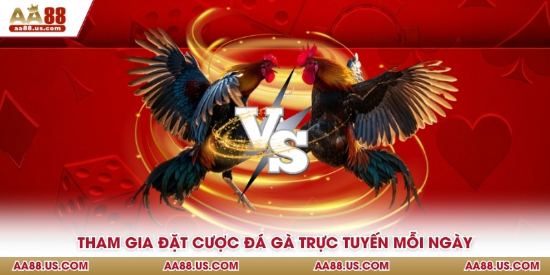 Tham gia đặt cược đá gà trực tuyến mỗi ngày